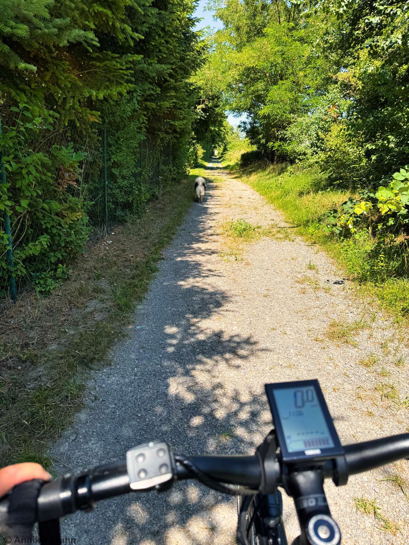 Wollte Q mit Fahrrad fahren